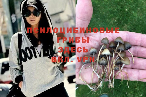 МДМА Алексин