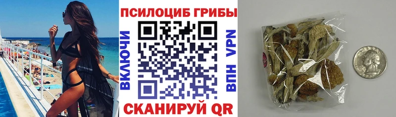 Галлюциногенные грибы Psilocybine cubensis  Сельцо 