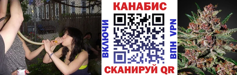 Шишки марихуана тримм как найти наркотики Сельцо